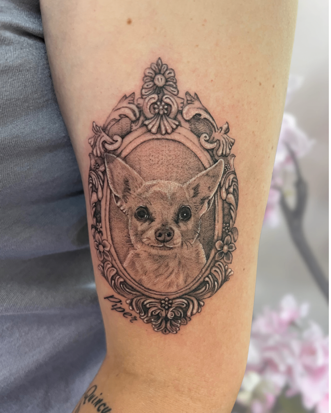 Chihuahua 'Piper' pet portrait in ornamental frame